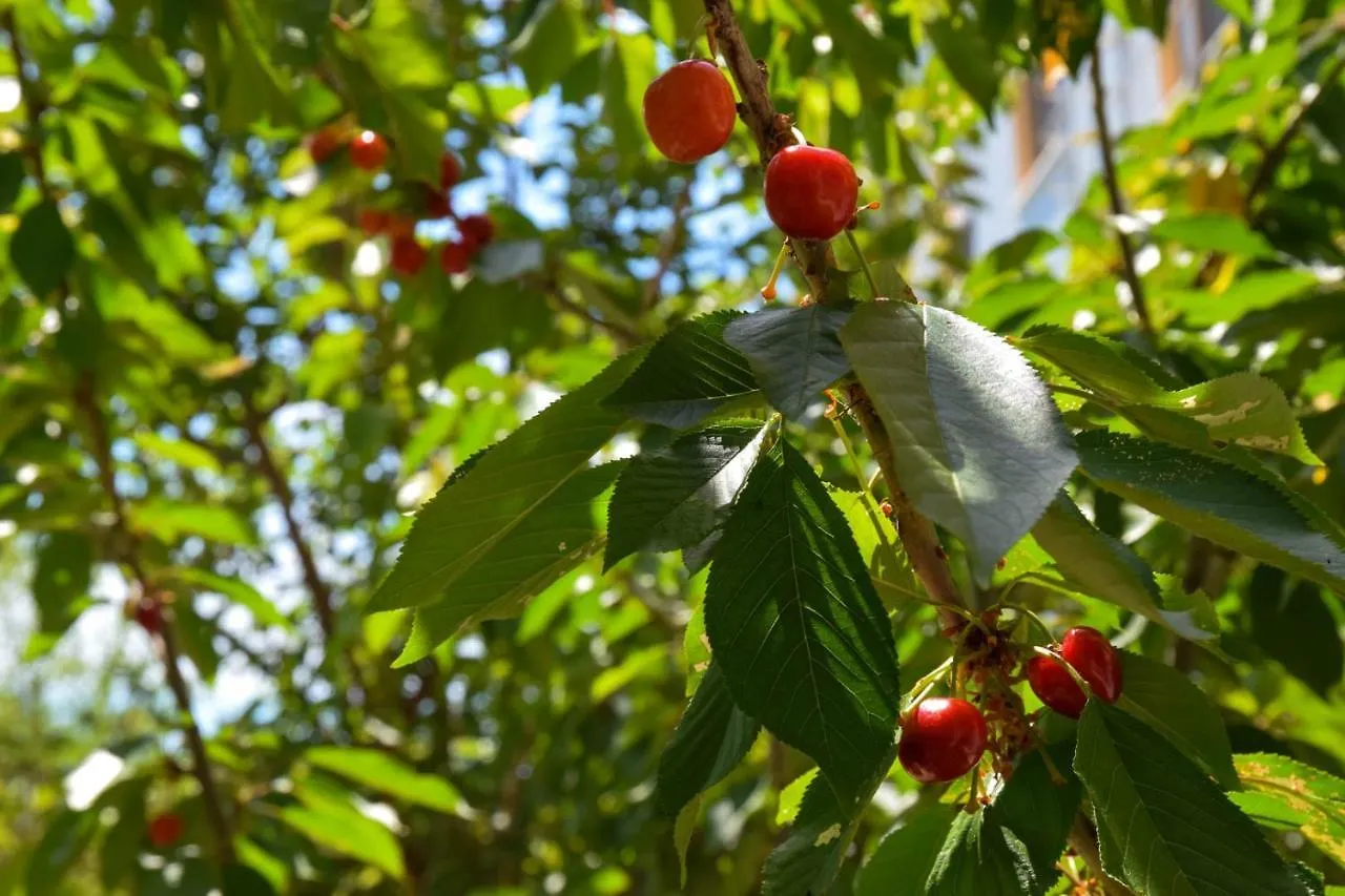 Appartamento Miloen Residence Gjiri I Lalzit Durrës Albania